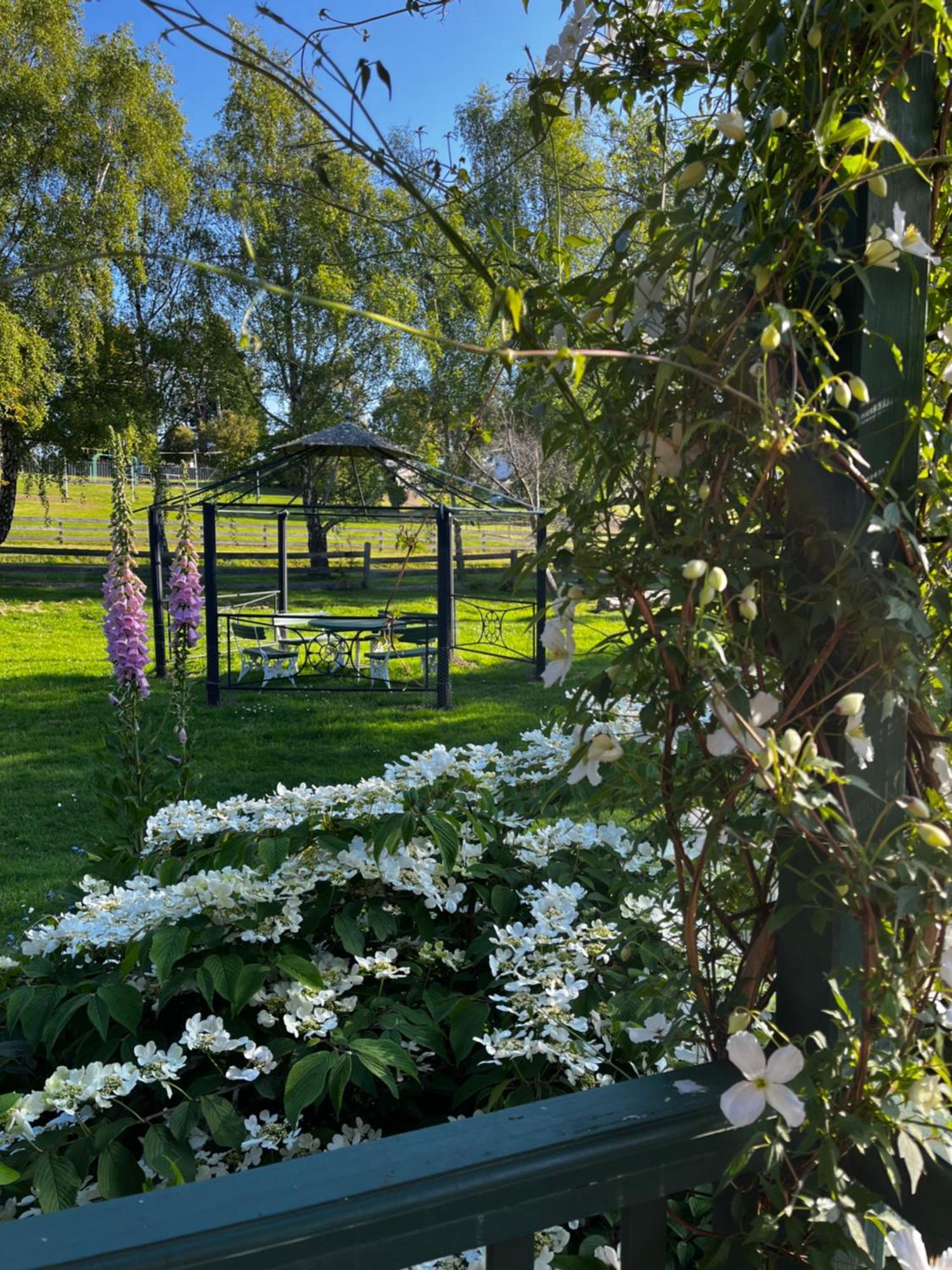 Green Gables B&B Cygnet Exterior photo